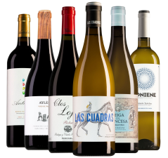 Wijnpakket Spanje (6 flessen)