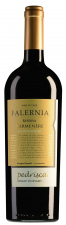 Viña Falernia Elqui Valley Pedriscal Carmenère