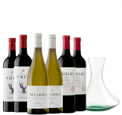 het nieuwe Spanje-pakket Palacios Vinos de Finca