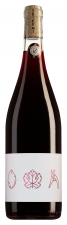 Anne Collard Vin de France SHI FU MI Rouge