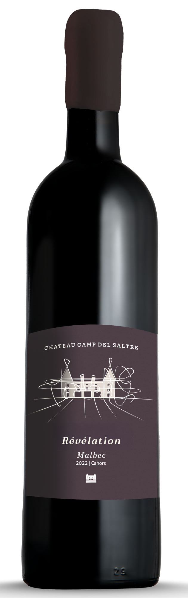 Camp del Saltre, Révélation