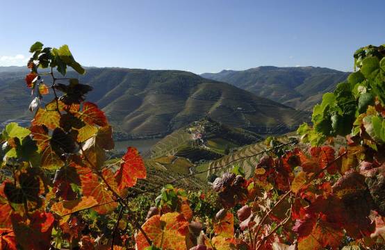 Herfstig uitzicht op Quinta do Crasto